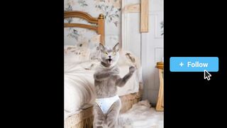 Cat funny dance | funny | fun | funny video | Tiktok | viral AI Videos