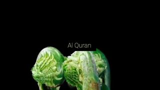 Al Quran 159