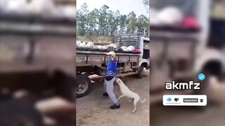 Top funny moments ????/ viral videos #video #funny #memes ep.#05