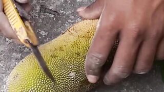 Creative Method How to grow Pineapple jackfruit _reels_shorts