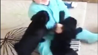 _try not to laugh  .. Funny Babies Playing With Dogs  ..