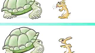 rabbit vs turtle fight*not about cool