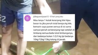 Jangan beri kesempatan oknum tengkulak berbuat curang, sekiranya ada kejanggalan, teriak saja