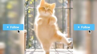 Cat funny dance | funny video | AI Videos | viral