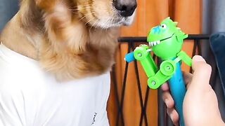 Dogy eating funny video for any time