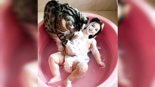 Funny video | AI Videos | AI cat | Febspot | TikTok | YouTube | viral | funny