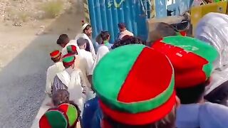 PTI tiger