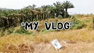 My Vlog 3