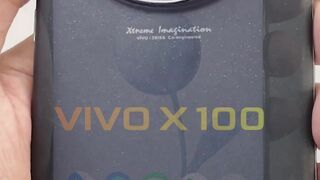 VIVO X100