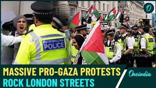 Riot Like Situation On London Streets Eight arrests at proPalestinian march