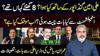 Ali Amin Gandapur 1st Talk || PTI Decisions and Imran Khan's Order || Imran Riaz Khan Vlog