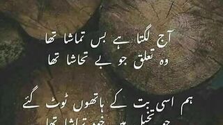 beautiful Urdu quotes //golden words //aqwale Zareen