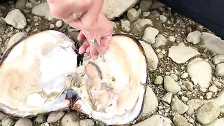 Discovered Wild River Pearl Worth 1 Million Yuan