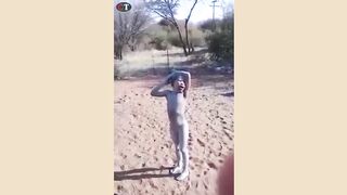 Collection of funny videos