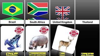 Deadliest Animals From Different Countries