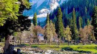 Super Natural Kashmir World of Haven #kashmir #haven