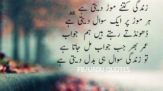 Urdu beautiful quotes //golden words //aqwale Zareen