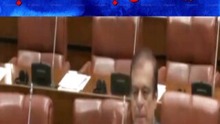 PTI Senator Shibli Faraz Aggressive Speech In Senate