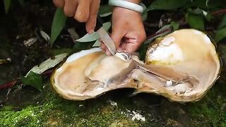 Amazing Wild Pond: Clams Inside Produce Massive Pearls