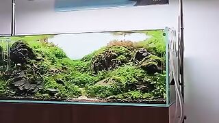 Aquascaping