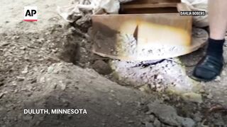 Cat found safe after getting trapped in a sewer for nearly 8 weeks.