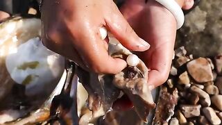 Clams Found with Rare First-Class Pearls: A Rare Discovery