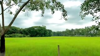 beautiful Bangladesh 2