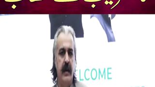 PTI Ali Amin Gandapur