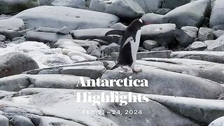 Antarctica highligths.