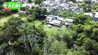 Ulang Farming, Paano Mag Simula at Magkano ang Puhunan