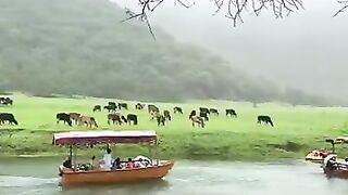 Beautiful wadi Darbat, Salalah