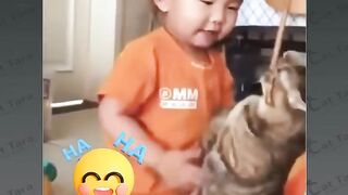 funny, fight child vs cat