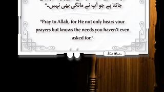 Best Quotes #shorts #shortvideo #shortsfeed #short #shortsviral #quran #video #viralvideo # 14