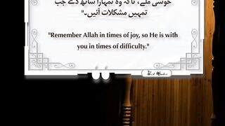 Best Quotes #shorts #shortvideo #shortsfeed #short #shortsviral #quran #video #viralvideo # 16