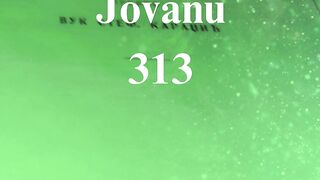 Jevanđelje po Jovanu 313