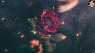 "Red Rose" _Lo-Fi_Music_ #lofi