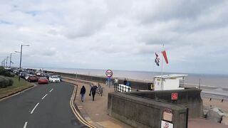 Nature view- Withernsea to Hull