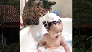 Baby and cat together funny