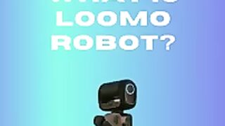 Loomo Robot