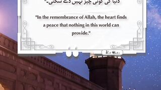 Best Quotes #shorts #shortvideo #shortsfeed #short #shortsviral #quran #viralvideo #quran #quotes 3