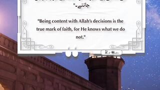 Best Quotes #shorts #shortvideo #shortsfeed #short #shortsviral #quran #viralvideo #quran #quotes 5