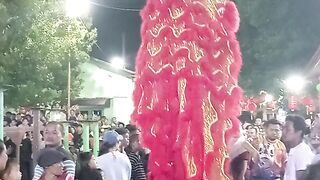 Lion dance 2