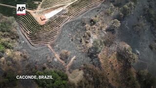 Brazil drought hits coffee farms and threatens to push prices even higher.