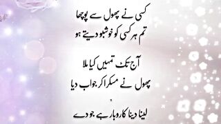 Urdu beautiful quotes //golden words