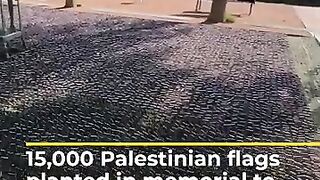 15,000 Palestinian flags planted in memorial to Gaza’s children