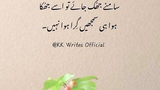 urdu beautiful quotes //golden words //motivational Urdu quotes