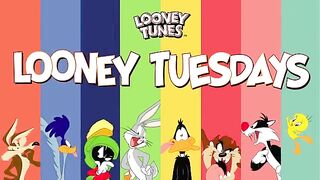 Looney Tuesday | Coyote's Best Failed Plans | Looney Tunes | Wb Kids