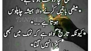 beautiful Urdu quotes //golden words //good thinking //aqwale Zareen