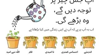 Beautiful Urdu quotes //golden words //Anmol Moti //aqwale zare //good thinking