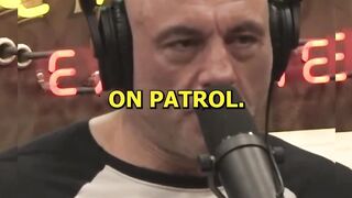 Chimps Patrolling in Coordination - Joe Rogan  #highlight #trend #tredingvideo #highlight #trend #shortsvideos #shortsfeed#shortsviral